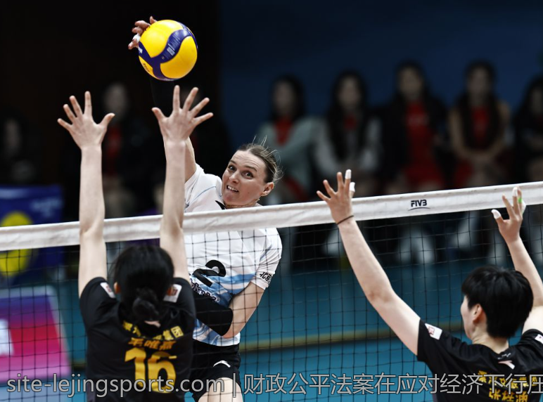 财政公平法案在应对经济下行压力中的作用